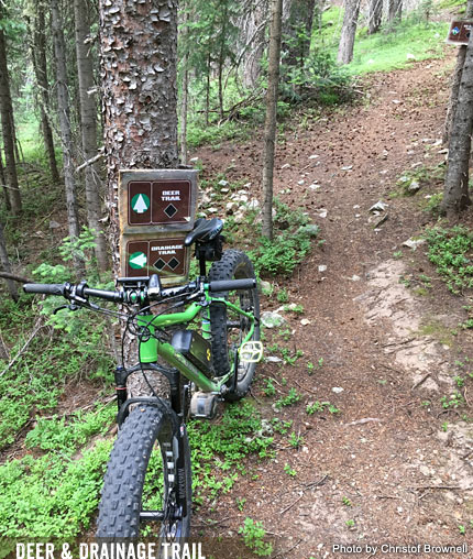 Mountain biking taos online new mexico